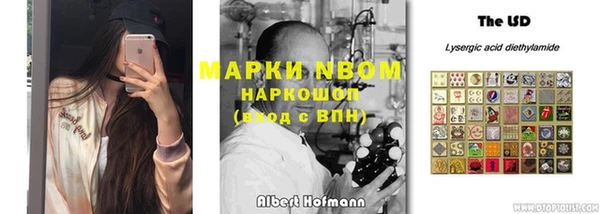 амф Аркадак