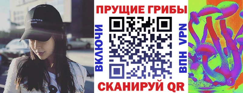 магазин    Пенза  Галлюциногенные грибы Psilocybine cubensis 
