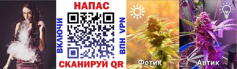 Конопля ГИДРОПОН Пенза
